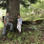 Sommerwanderung im Ammergebirge